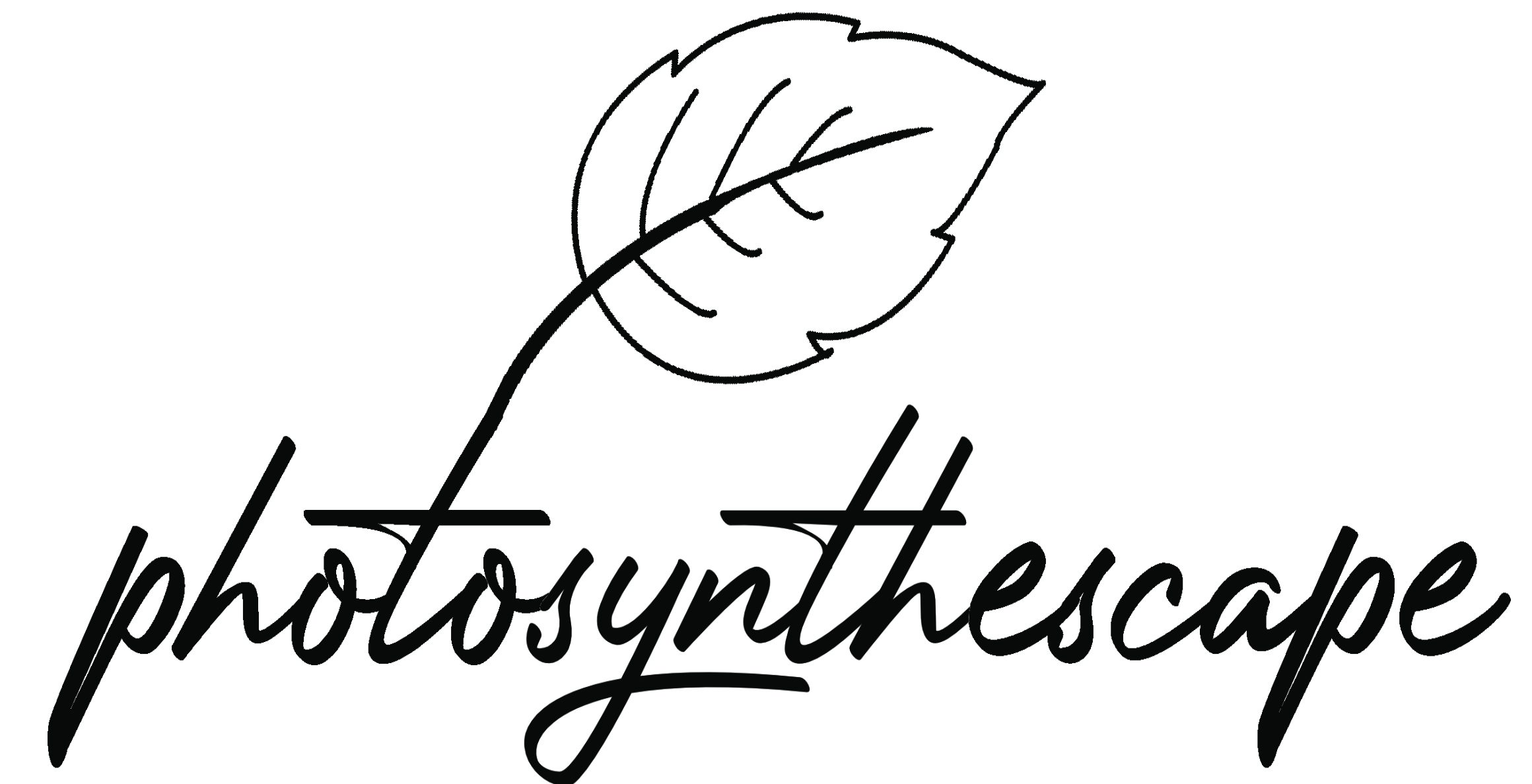 PhotoSynthEscape Offical Site